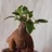 norra_garden