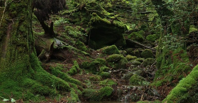 屋久島 持ち物編 ゆき Note