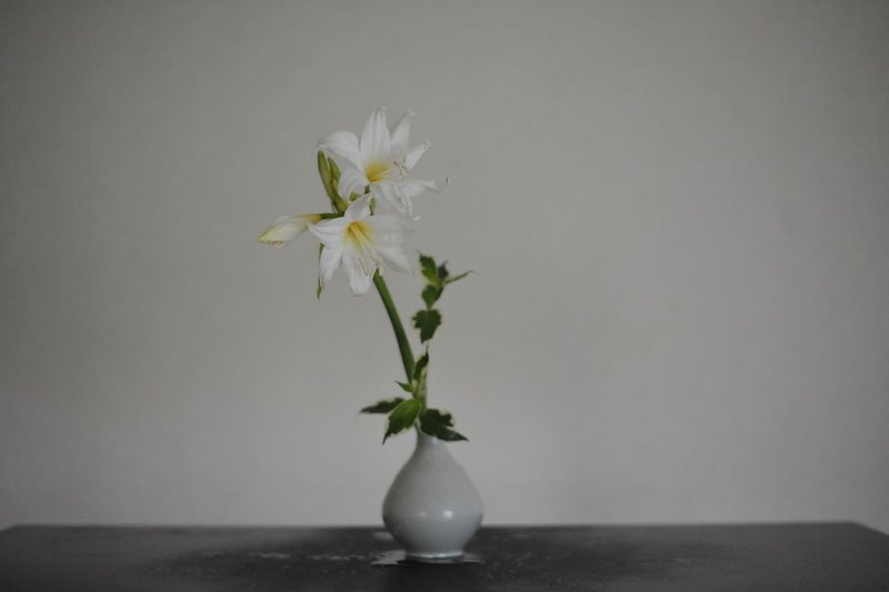 ベラドンナの雫 エカテリーナお姉さま 渡来 徹 花道家 Note ベラドンナの雫 エカテリーナお姉さま 渡来 徹 花道家 Note