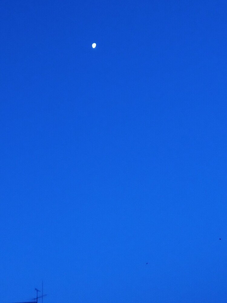 写真を整理していて見つけた少し前の月空。何故こんな色の空に撮れたのかわからない。