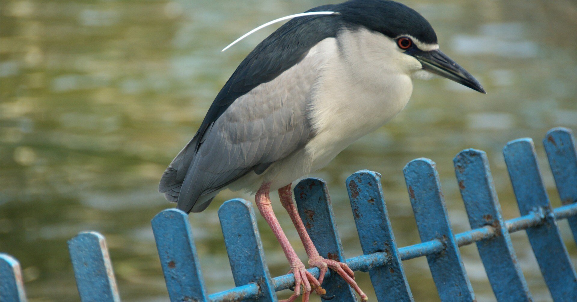 daae4ff0f91b71fbde687488ccf7e0