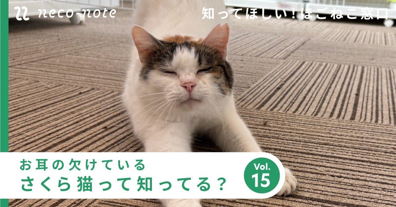 さくら猫って知ってる？｜ネコノート🐱猫の推し活ネコノート