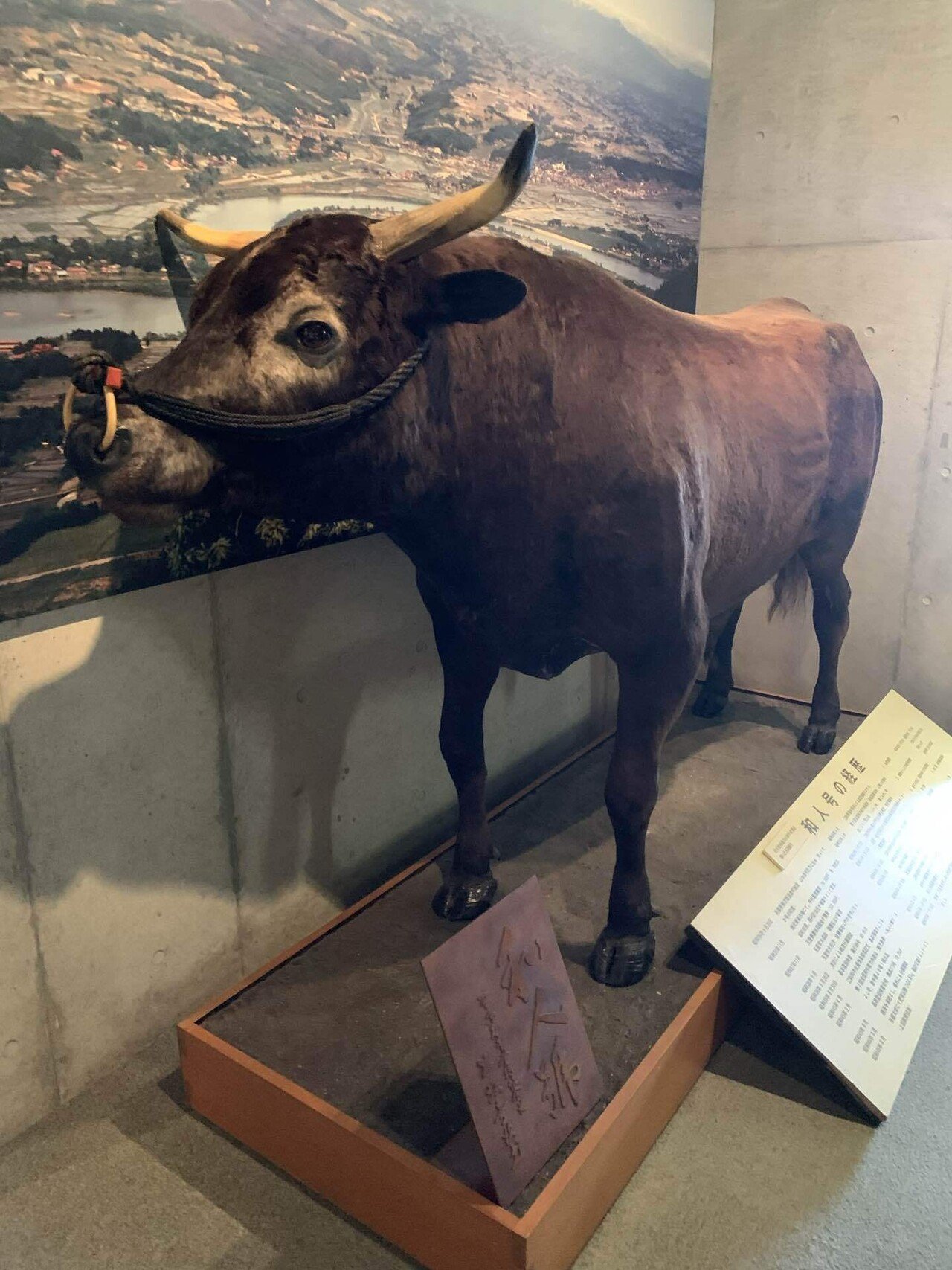 岩手県奥州市】化石から畜産まで。彼らのことをモ〜っと知るなら「牛の