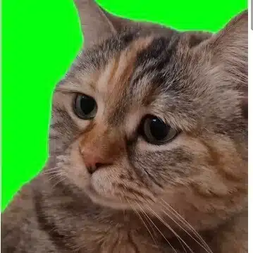 R.S