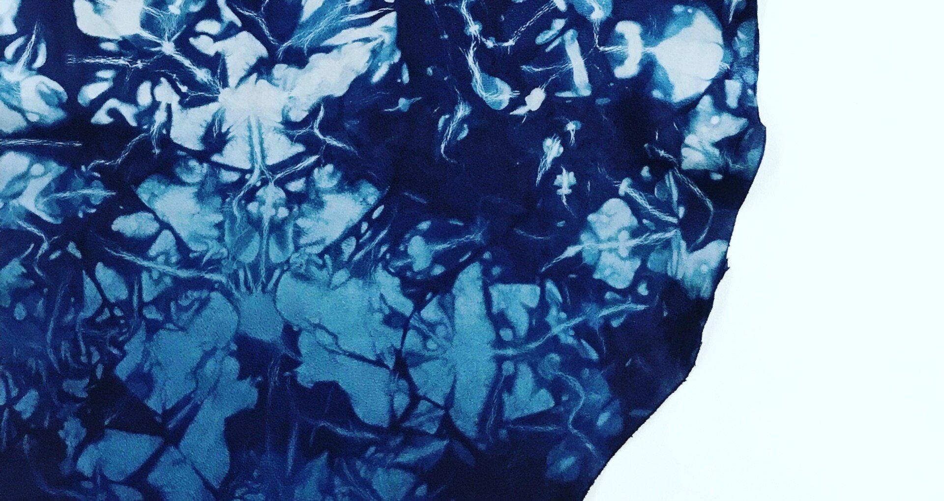 藍の沼ー藍染めの深〜〜〜い話｜透野未来（とうのみき）彩波出版&藍