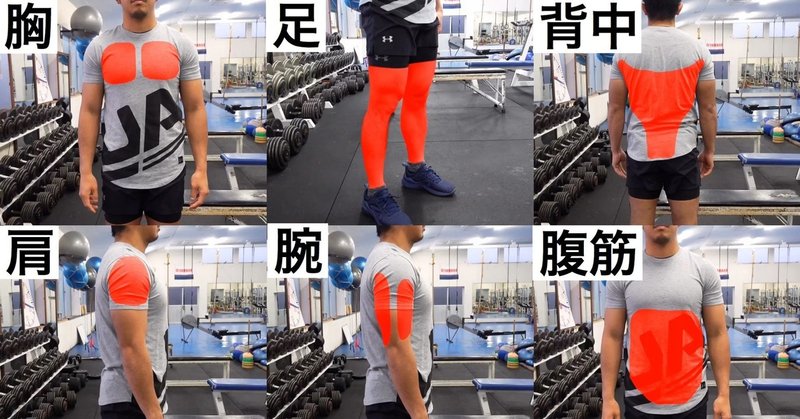 家 ダンベルのみ の筋トレメニュー一覧 じーやま 山路和希 Note 家 ダンベルのみ の筋トレメニュー一覧 じーやま 山路和希 Note