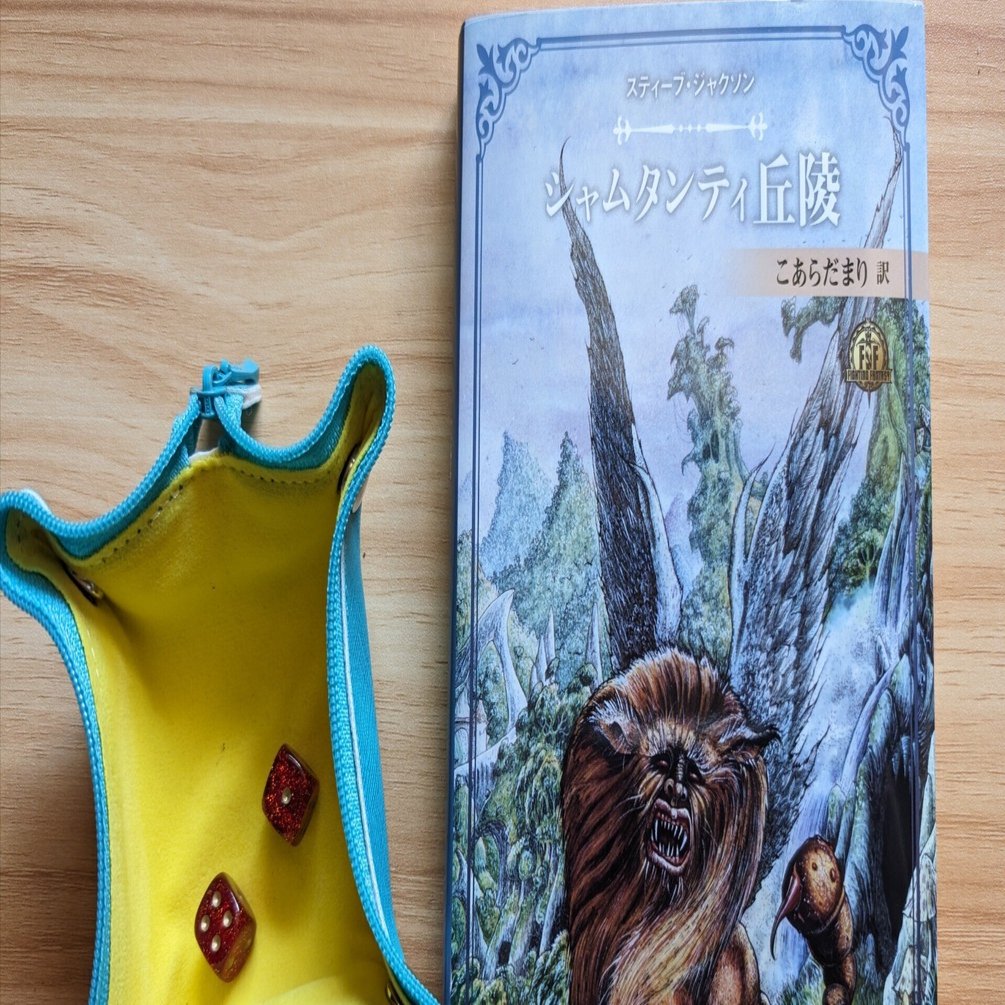 【格安saleスタート】 □□スティーブ・ジャクソンの d20ファイティングファンタジー TRPG