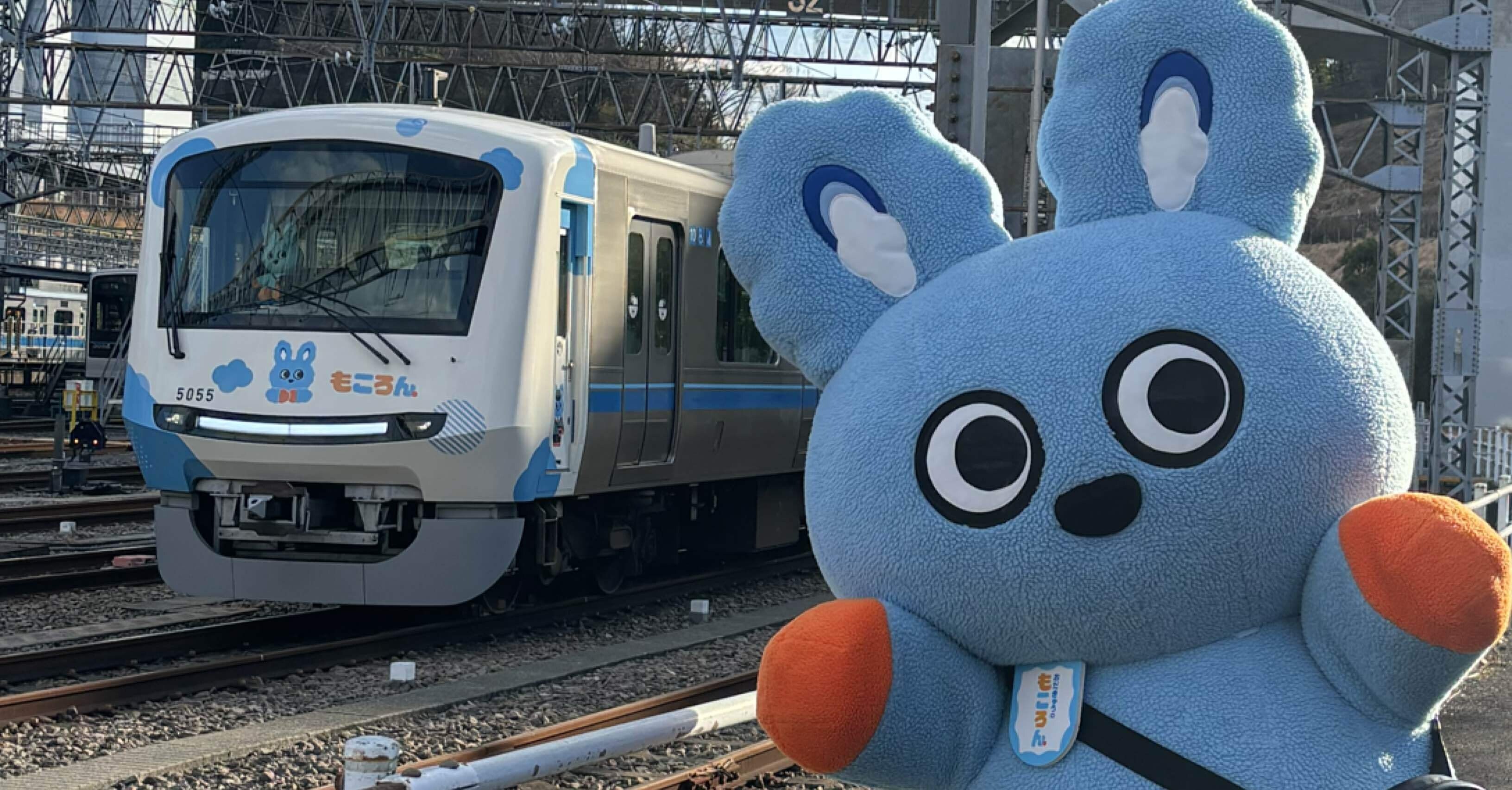 72b5771a12882b48ea3fab1f6f3a56