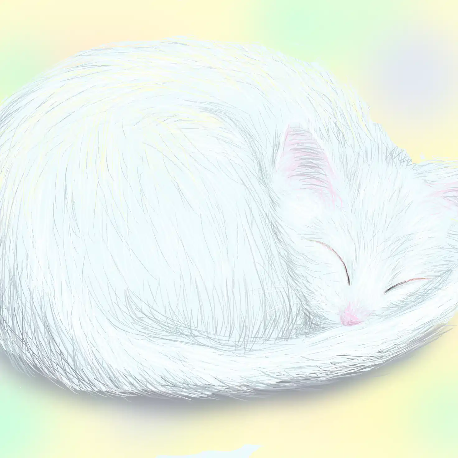 ひだまり｜16匹の猫と画家の夫と暮らす理学療法士
