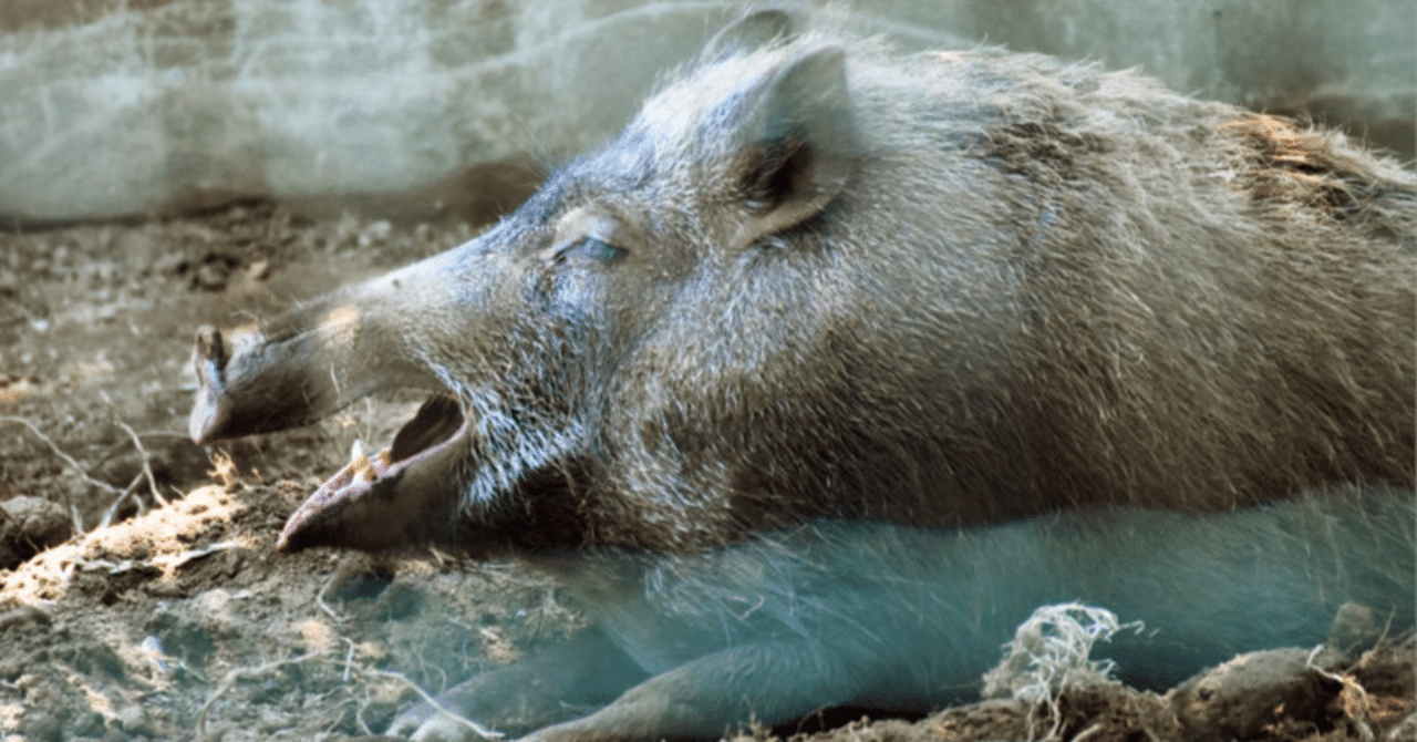 亥の子七代｜TechpanCreate（テクパン・クリエイト）