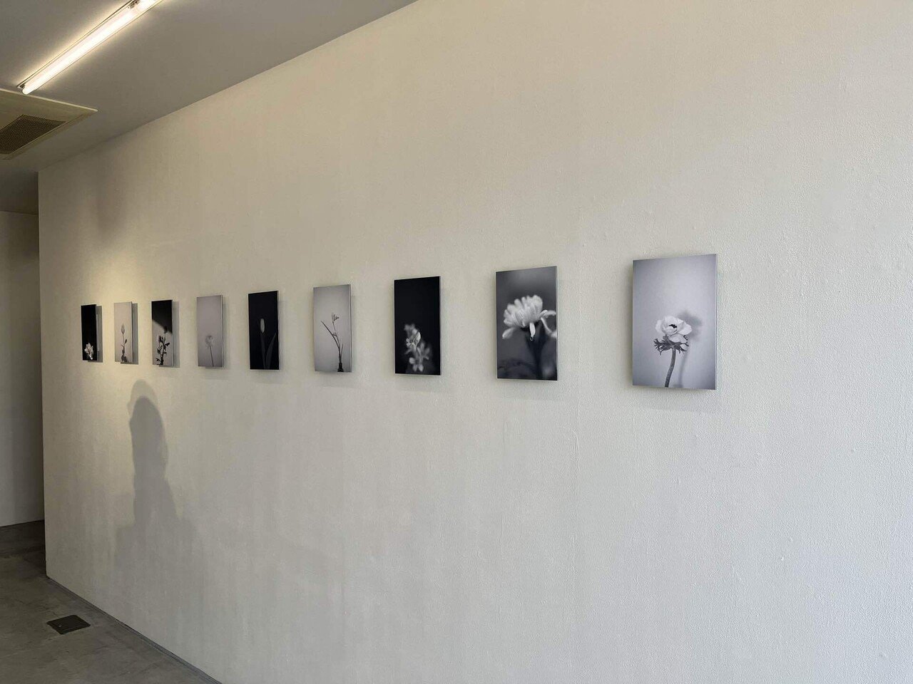 川内倫子さん個展へ｜明悠