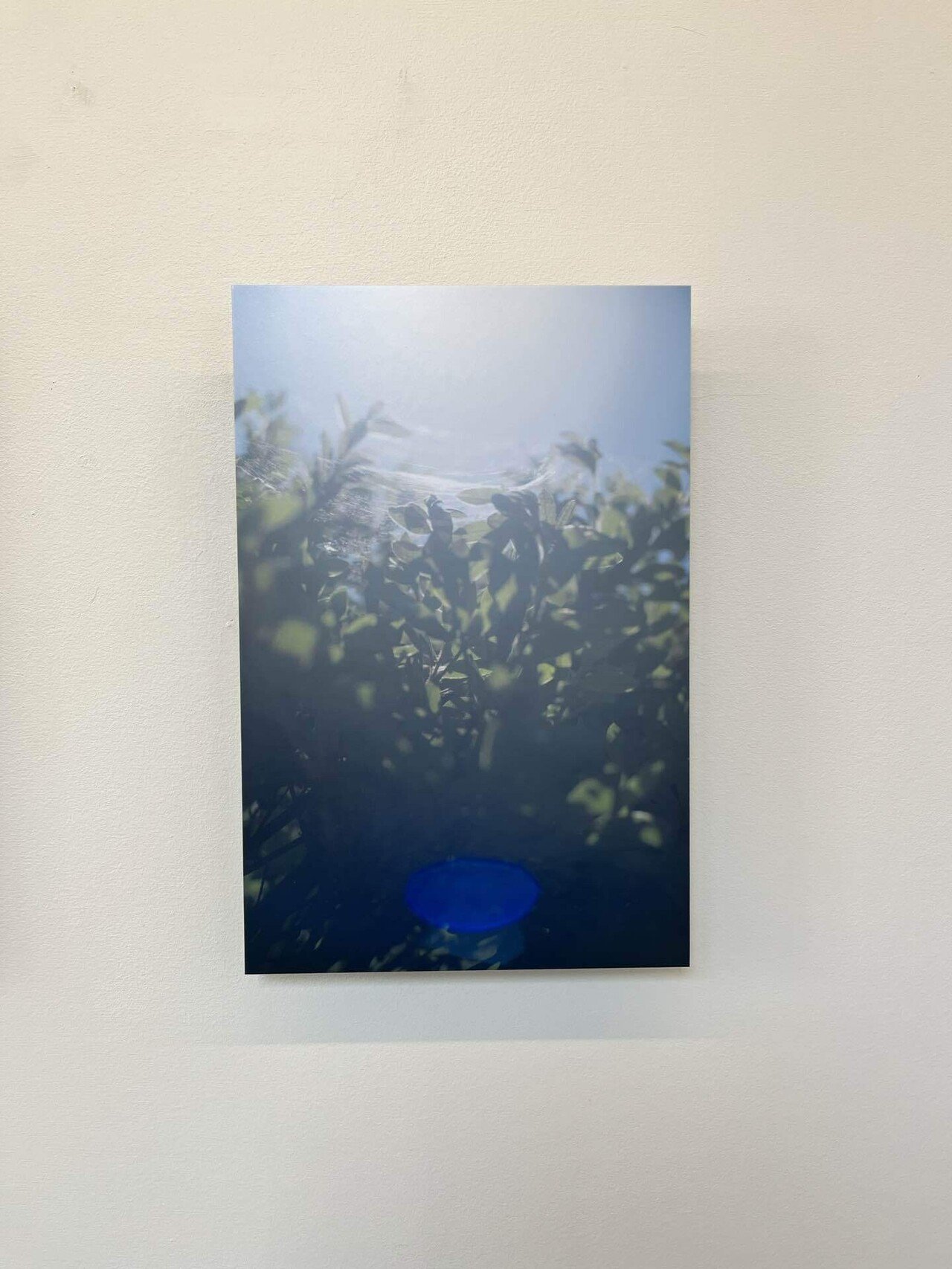 川内倫子さん個展へ｜明悠