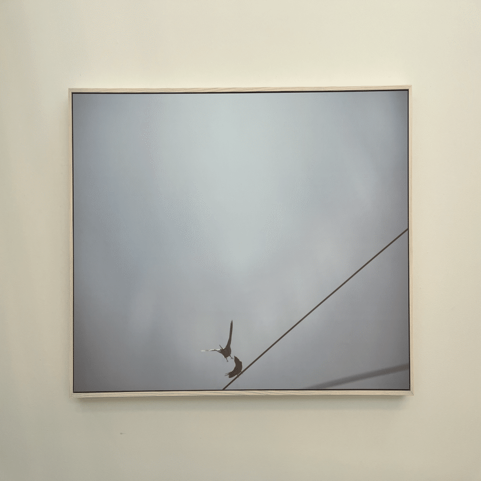 川内倫子さん個展へ｜明悠