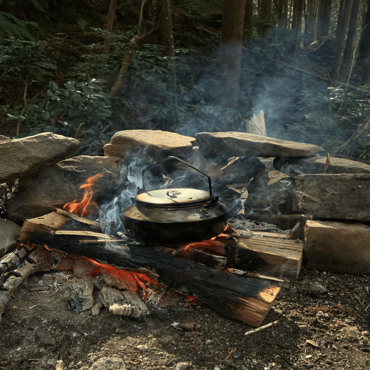 いつもの森で静寂に包まれる徒歩ソロキャンプ｜ミズメ