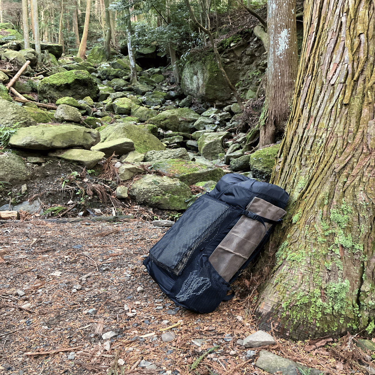 いつもの森で静寂に包まれる徒歩ソロキャンプ｜ミズメ