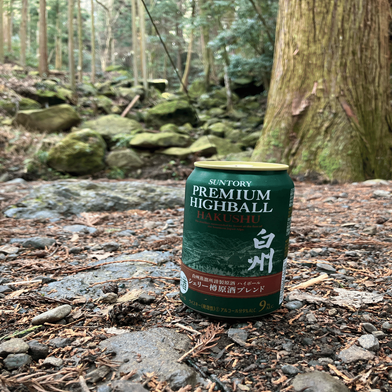 いつもの森で静寂に包まれる徒歩ソロキャンプ｜ミズメ