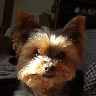 松永隆志