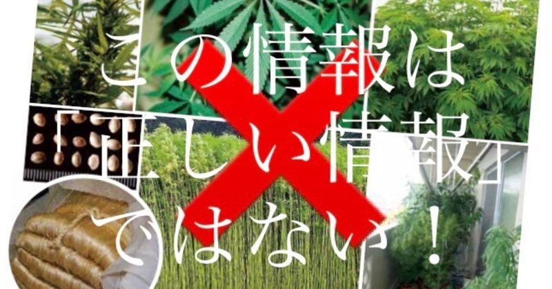 【アクション！ 厚労省大麻情報を正そう！】 #厚労省大麻情報更新