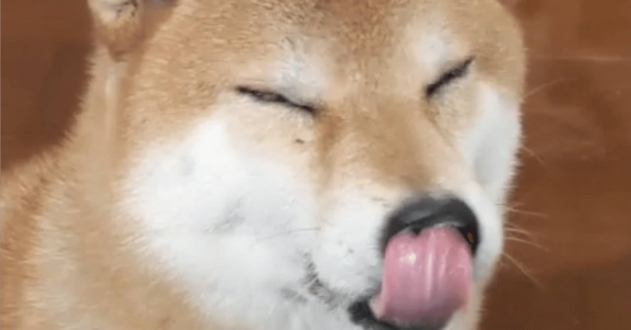 10000000SHIBを保有。柴犬コイン価格が１円になれば…｜くろやぎ