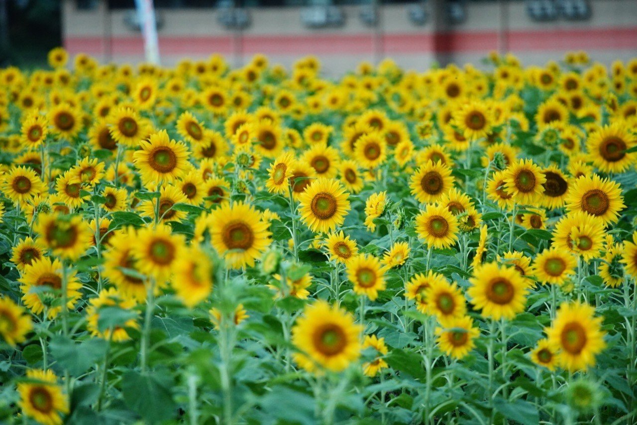 Diyでもできる 湿気対策のおすすめリノベを解説します ダイ 空き家再生しています Note