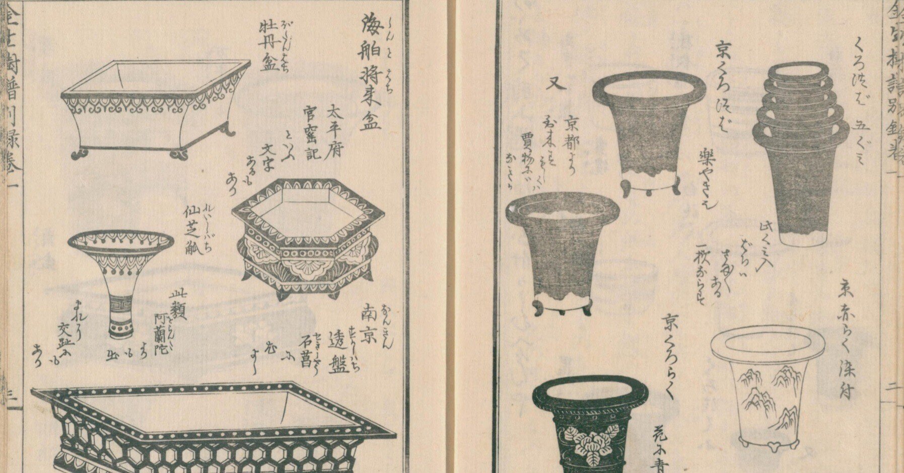園芸】金生樹譜別録 巻一|mominaina 園芸】金生樹譜別録 巻一|mominaina