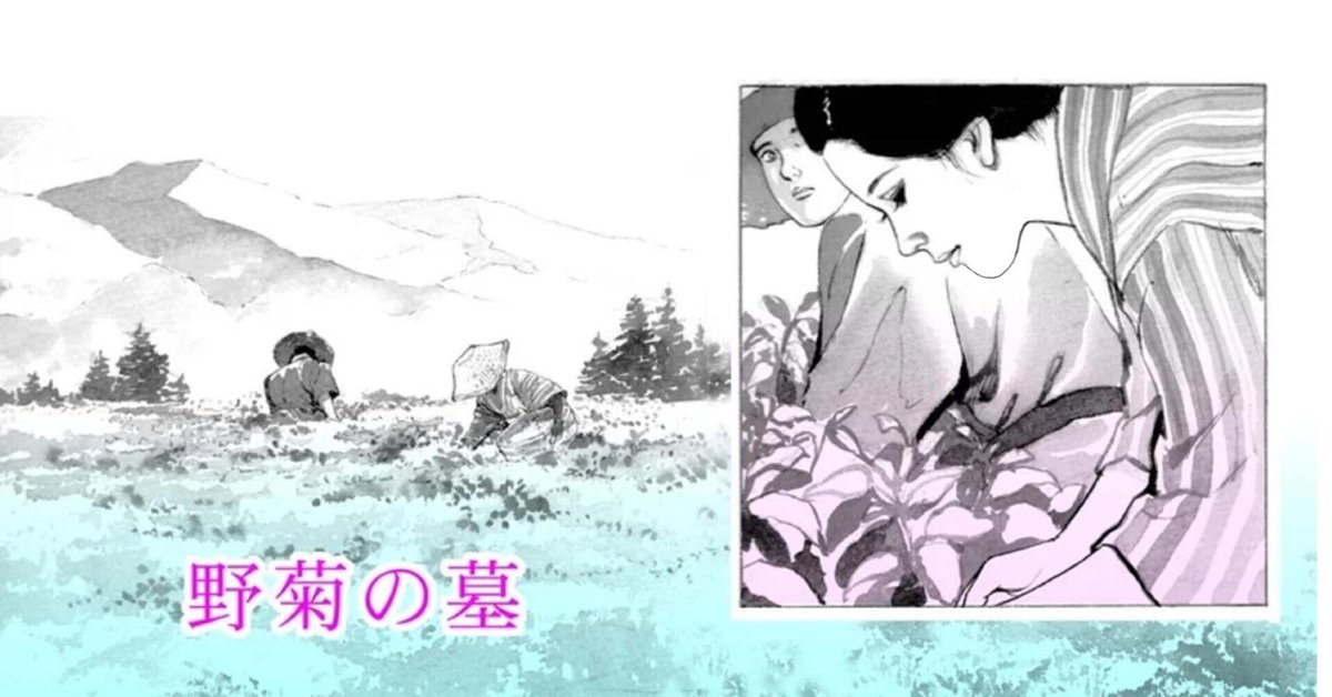 漫画『野菊の墓』（伊藤左千夫）｜kaze