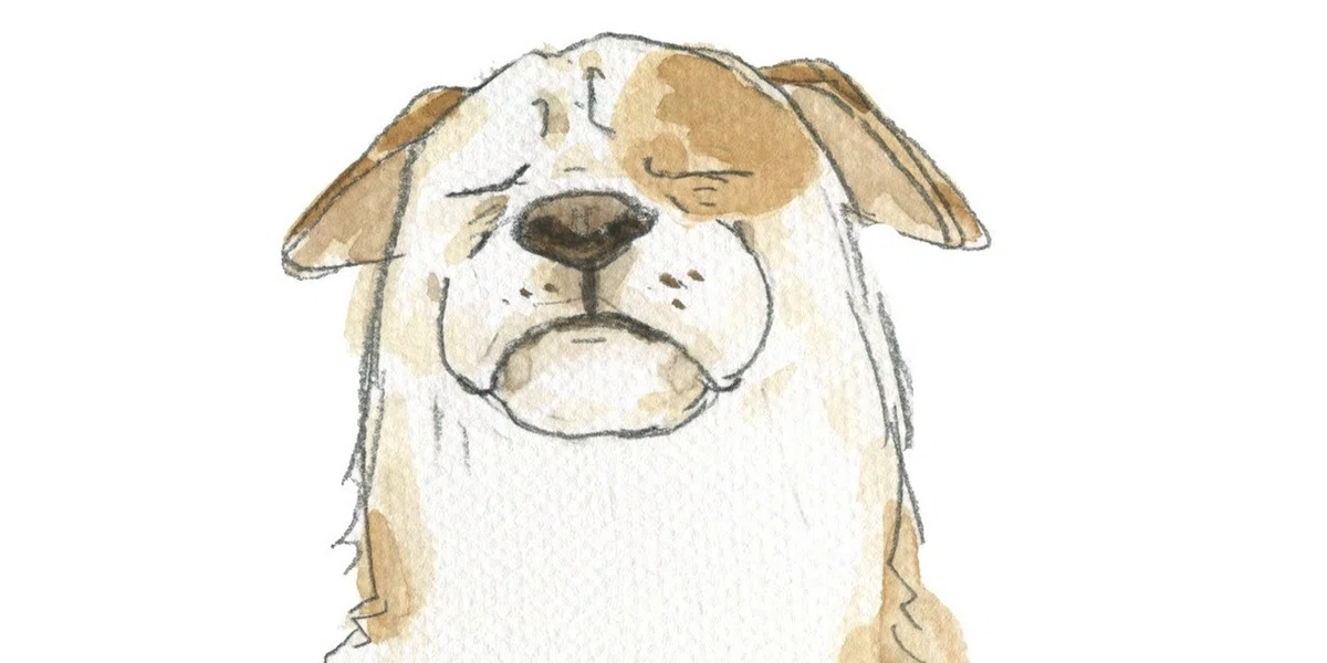 画像13