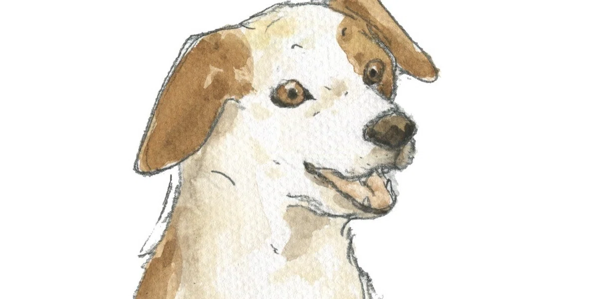 画像12