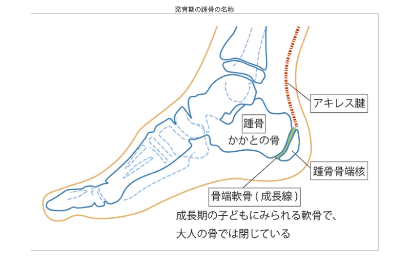 母親向け 子供用スパイクは必要か C Riosam Note 母親向け 子供用スパイクは必要か C Riosam Note