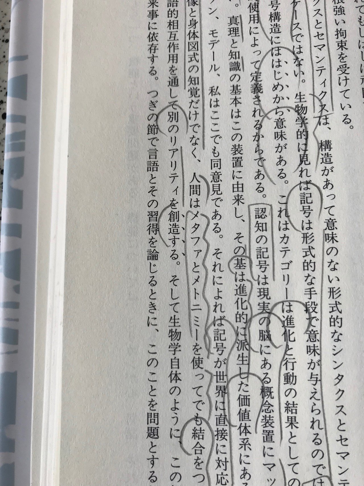 インデックス/イコン/シンボルの区別。脳ではイコンの前に