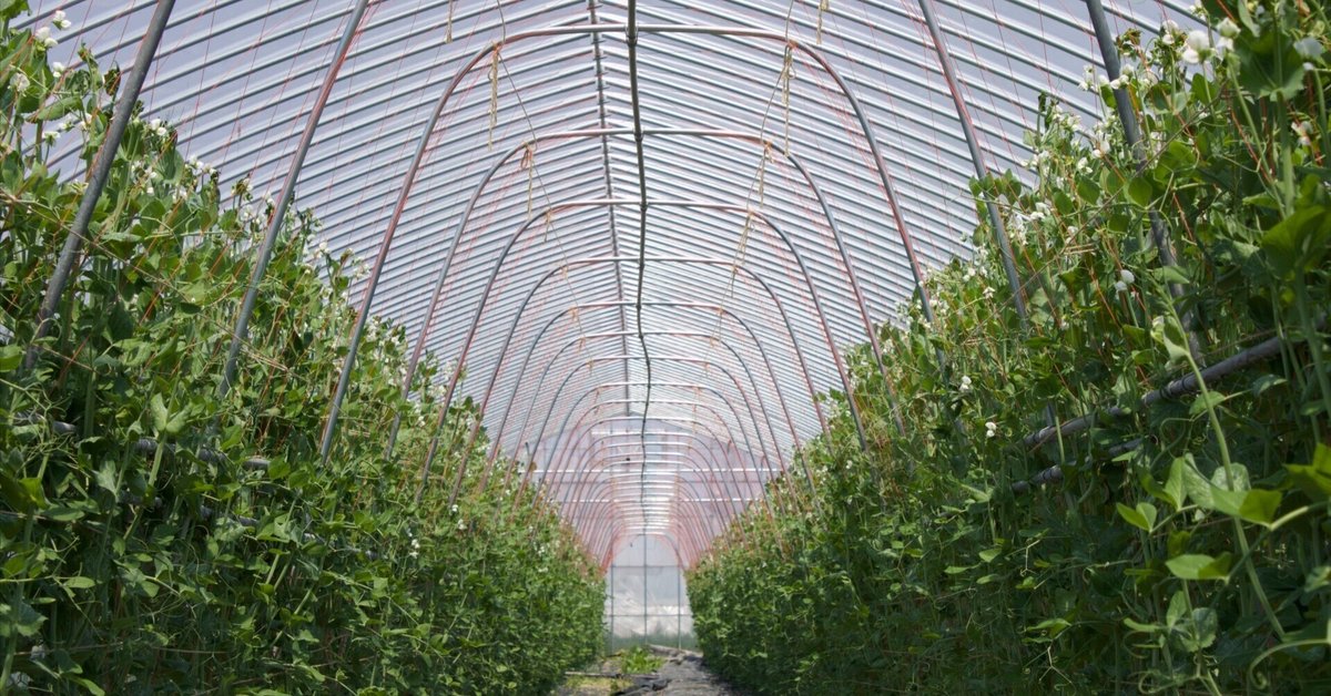 決まりました！大型ビニールハウス 美品 農業独立開業希望の方は必見