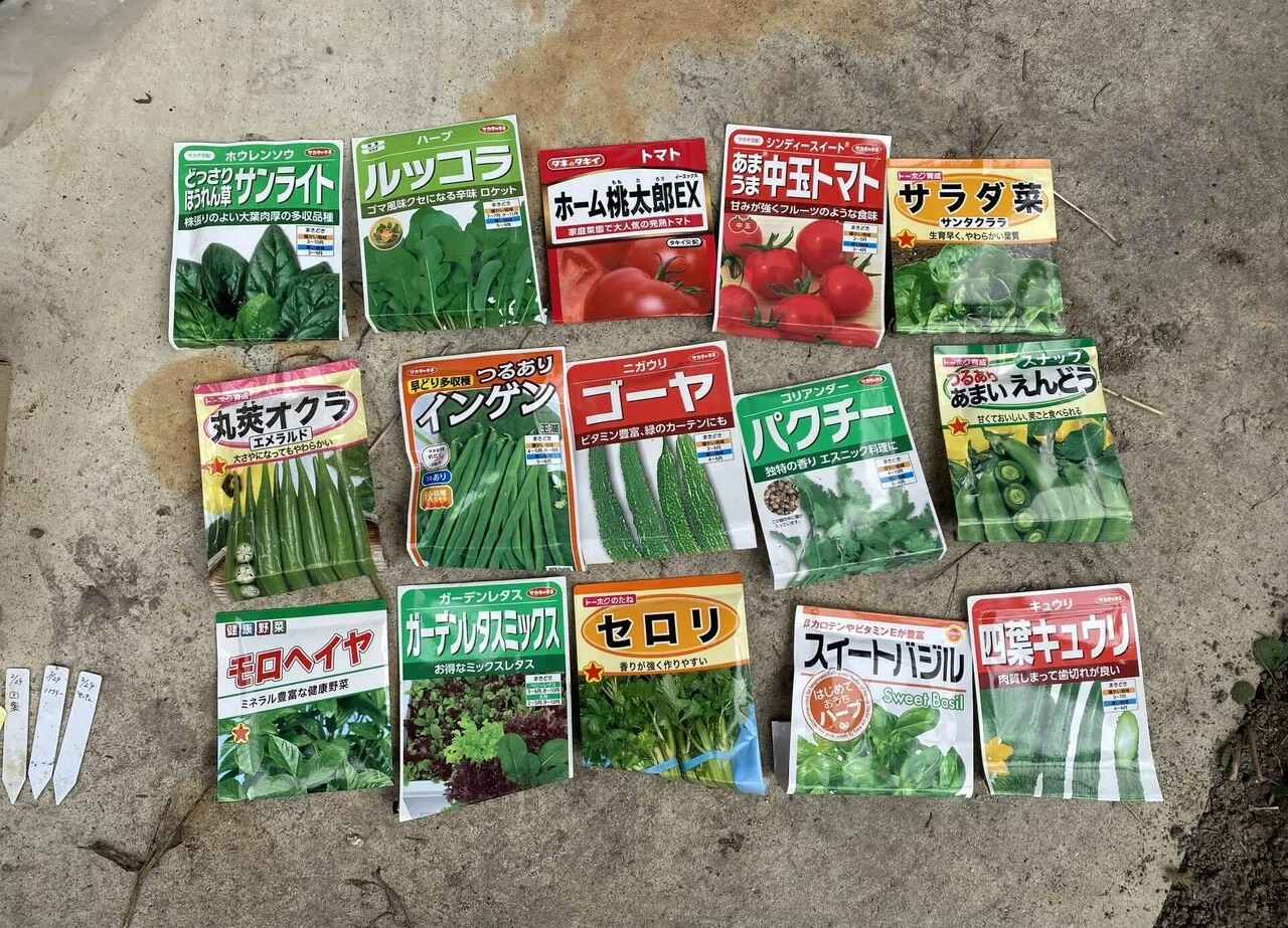 Notice: Spring Field Play Gathering｜藤原有ニ