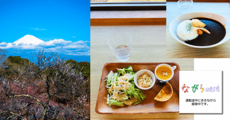 ながらcast3/163 【ゆる旅しずおか】岩本山公園の「梅と富士山」