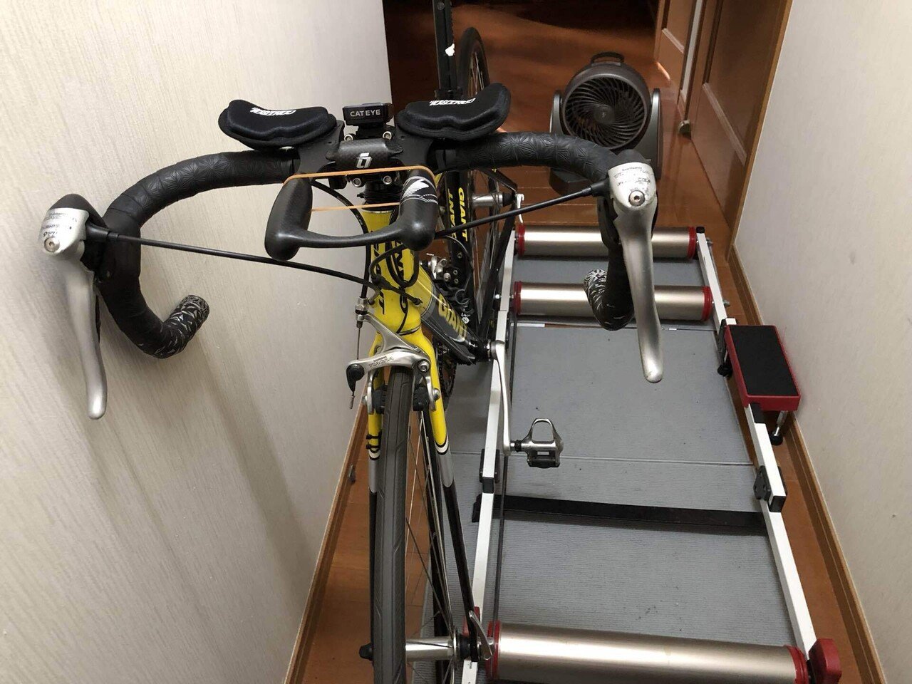 きっと今は我慢どき】IRONMANに挑戦！Week8｜八尋 大｜水泳