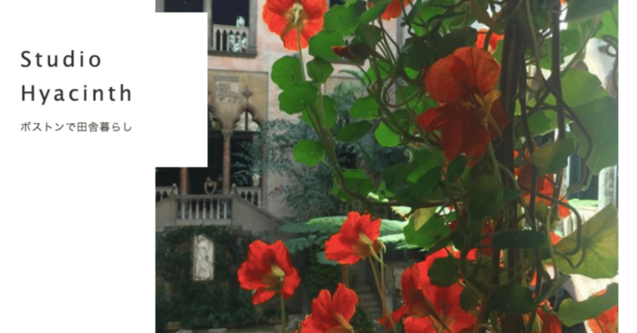 機動戦士ガンダムSEED FREEDOM 風 シン・アスカ 世界平和監視機構コンパス 隊服 制服 ☆受注品☆ | 文化雑貨スタジオ凛  【コスプレ/撮影用衣装・ウィッグ・小道具・武器・雑貨】の通販サイト powered by BASE ガンダムSEED FREEDOM ノイマン  コンパス衣装, image size:1280x670