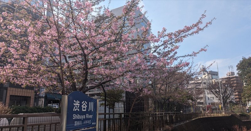 歩いて1分。タコ公園、勝手に開花宣言。【恵比寿村ご近所散歩#3】　