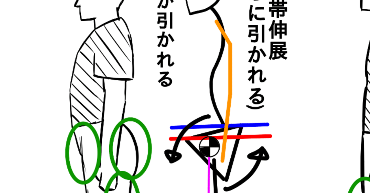 骨盤前傾 肩甲帯伸展体型 を手に入れるための ２つの基本方針 栗山 彰恭 Note