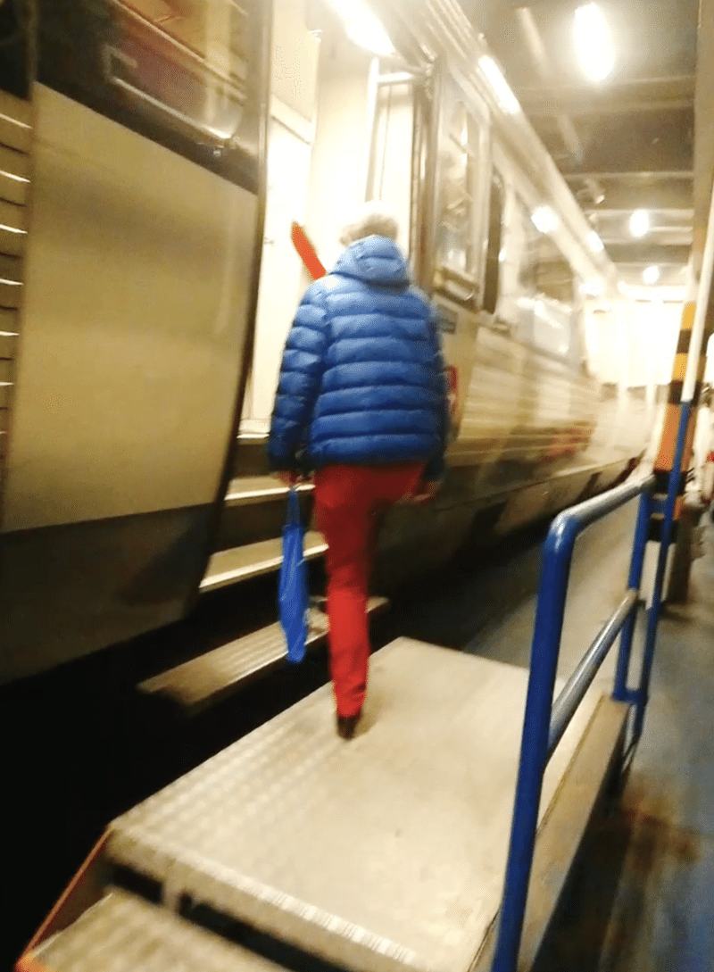 鉄道が船で海を渡る 渡り鳥ライン乗車記 デンマーク ドイツ Shun Hazama Note