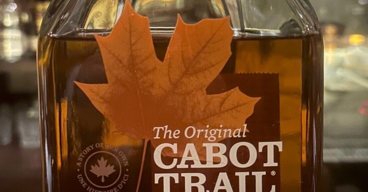 思ったよりも甘かった バー周遊記 2024年2月｜まどろみ