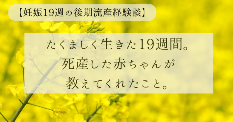 【2】長引く入院。退院目前に起きた前期破水。