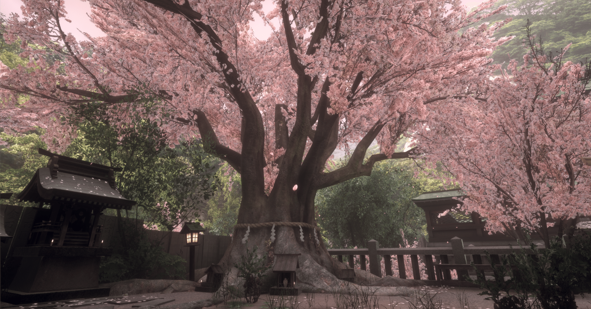 2024年4月10日(水) つくし湖(茨城県桜川市)の野鳥観察記録 by
