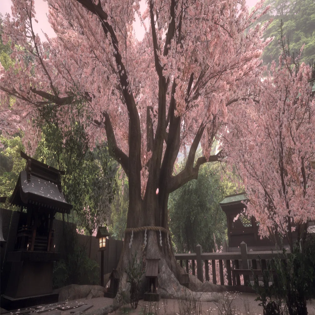 あつ&さま専用（原画）夜更けの桜が咲く頃 ほか　4点おまとめ Column】Japan Shrineアップデート 懐かしい桜咲き乱れる通り雨の春