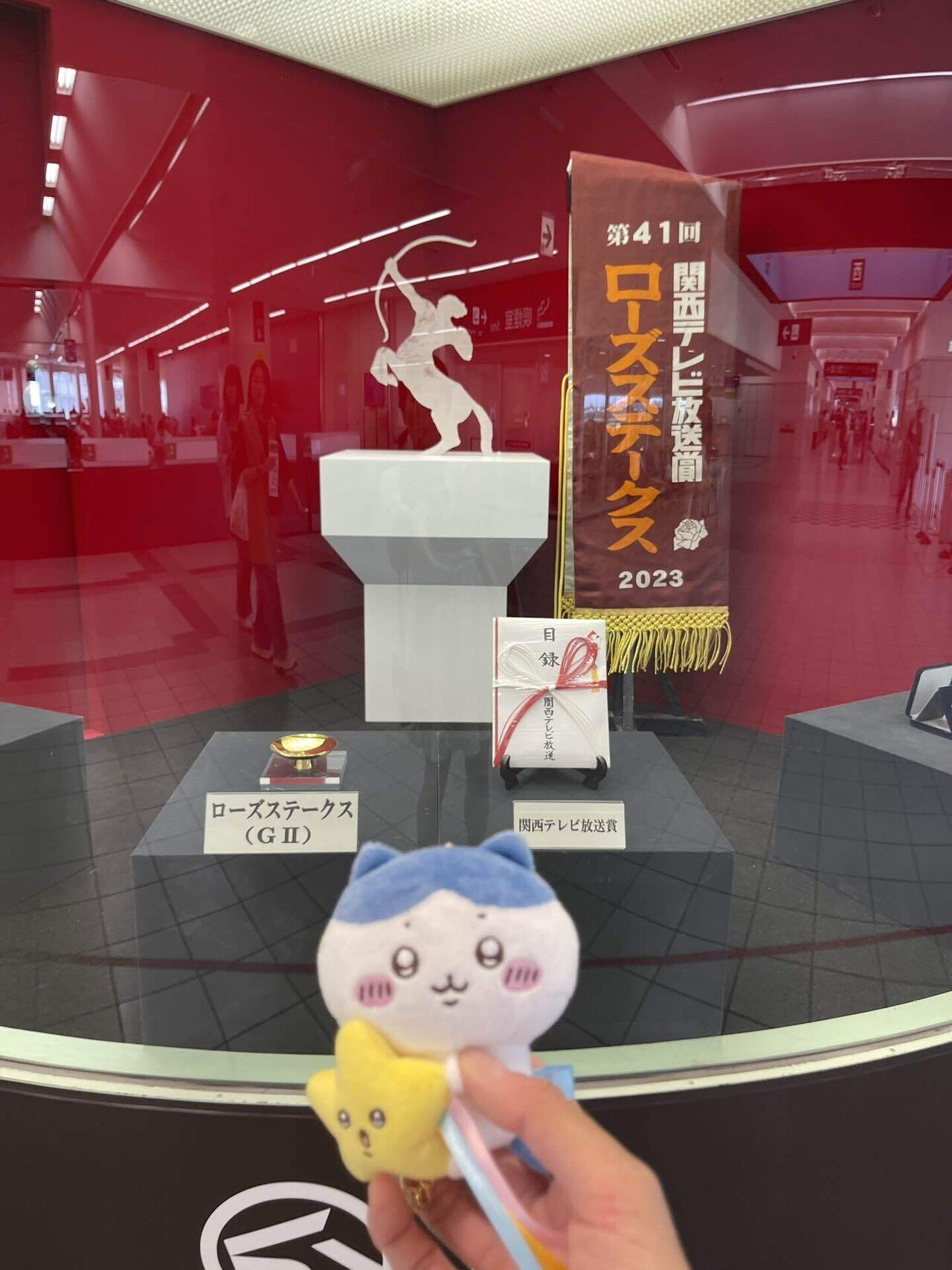 ハチワレ　阪神 ハチワレ 阪神 ちいかわグッズ公式 on X: