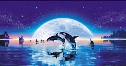ラッセン」の人気タグ記事一覧｜note ――つくる、つながる、と