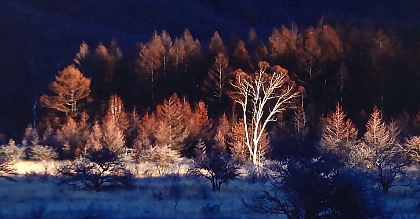 6a7dcd31cfb9df0c23687e2faf8c95