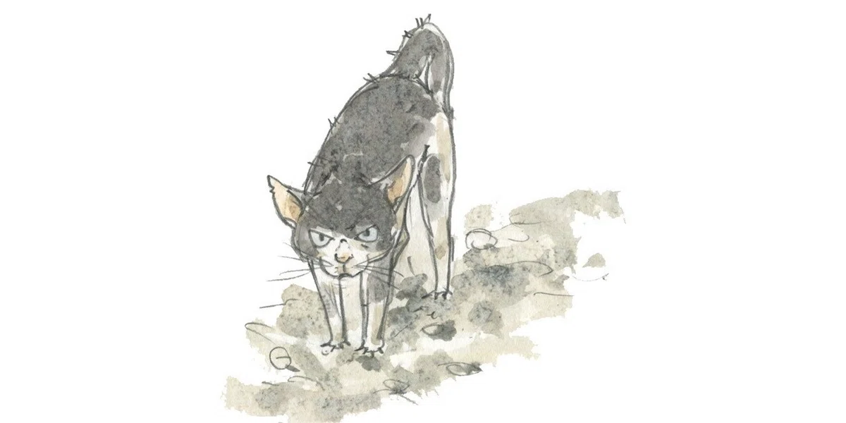 画像11