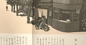 井伏鱒二・ 金井田英津子 『画本・ 厄除け詩集』 ： しみじみと