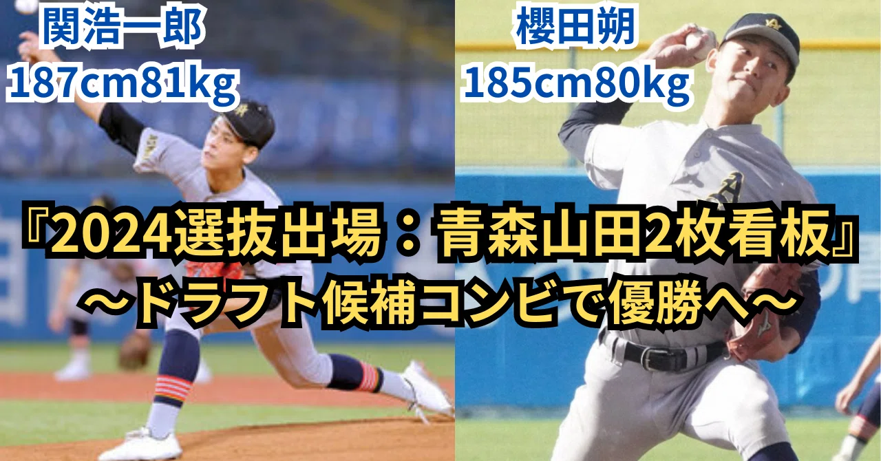 青森山田 値下げ有 ウェア