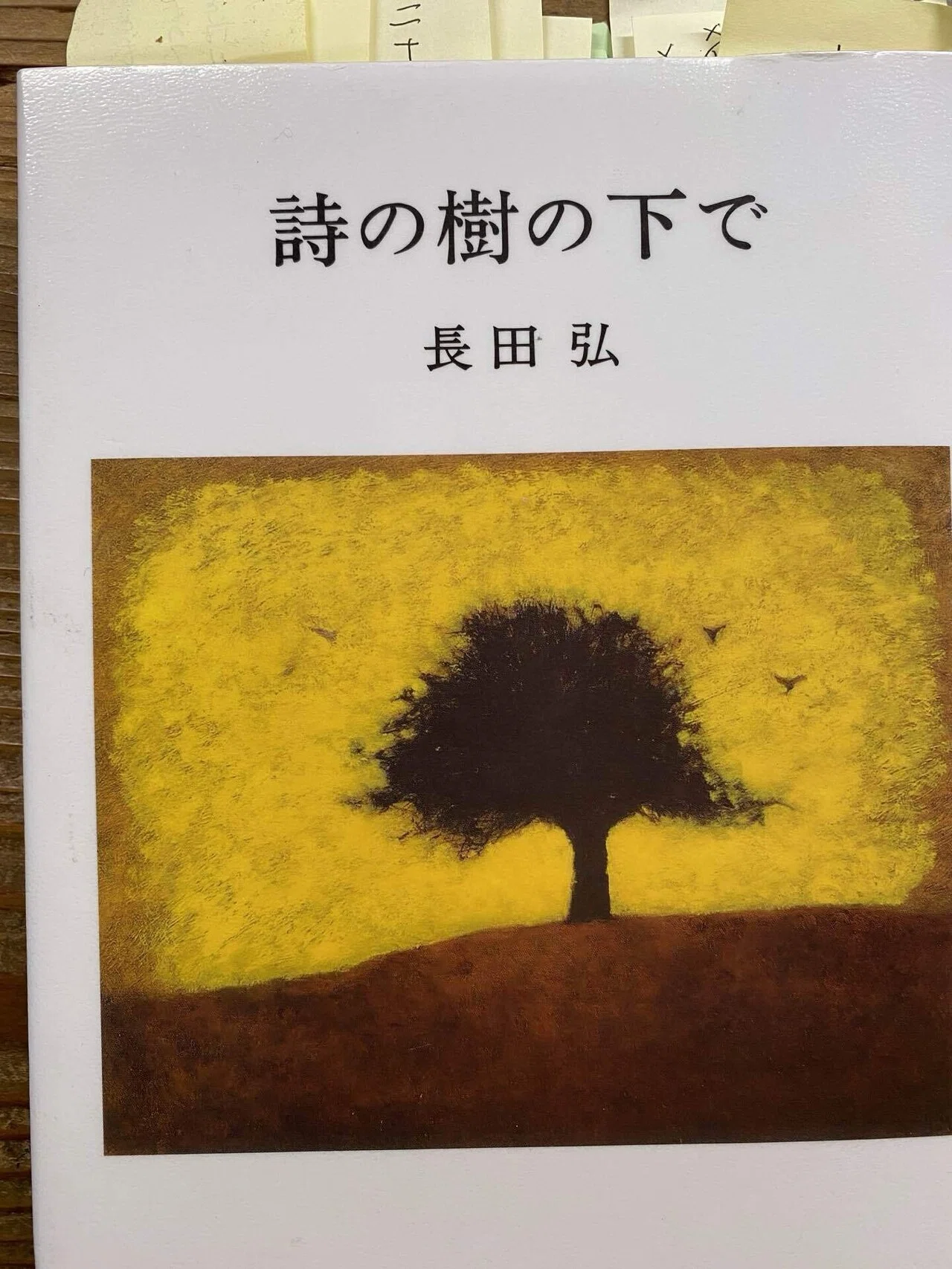 由吉様 天使の詩 (転蓬だより: 2010年3月アーカイブ) 由吉様 天使の詩 (転蓬だより: 2010年3月アーカイブ)