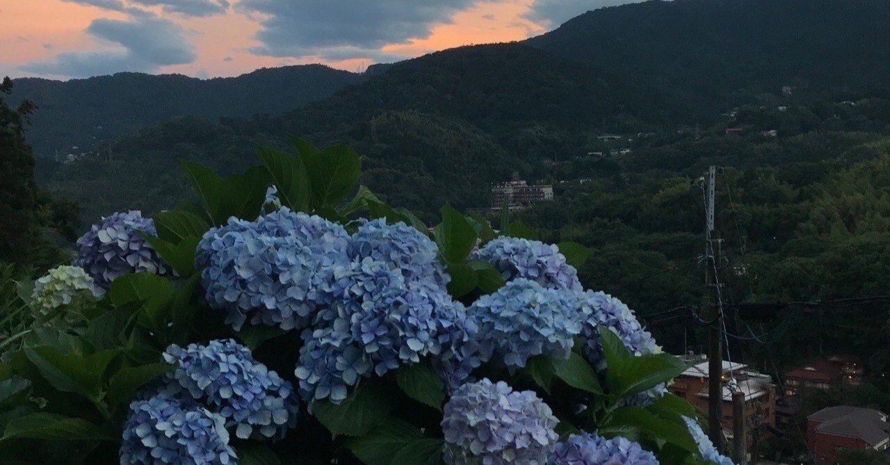 蛙毒 無料記事 瀬輩裕太郎 Note